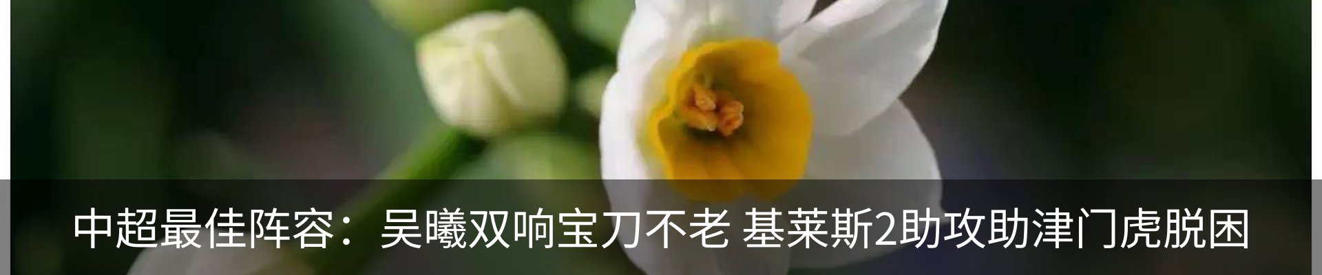 资讯动态
