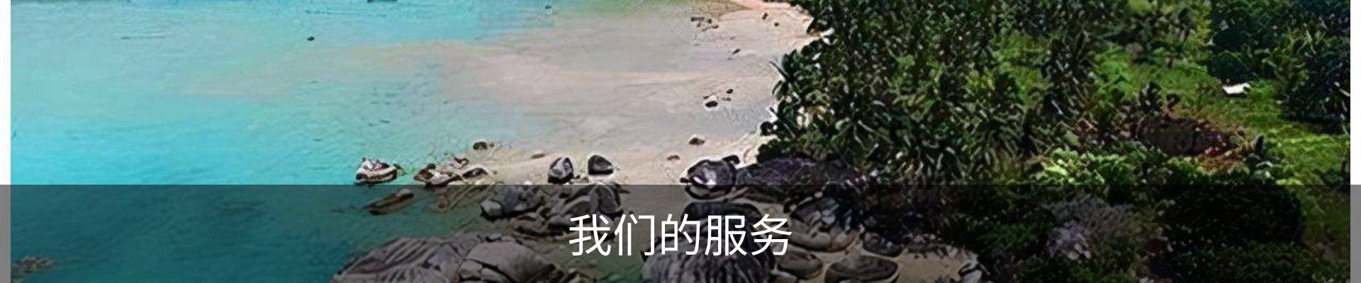我们的服务